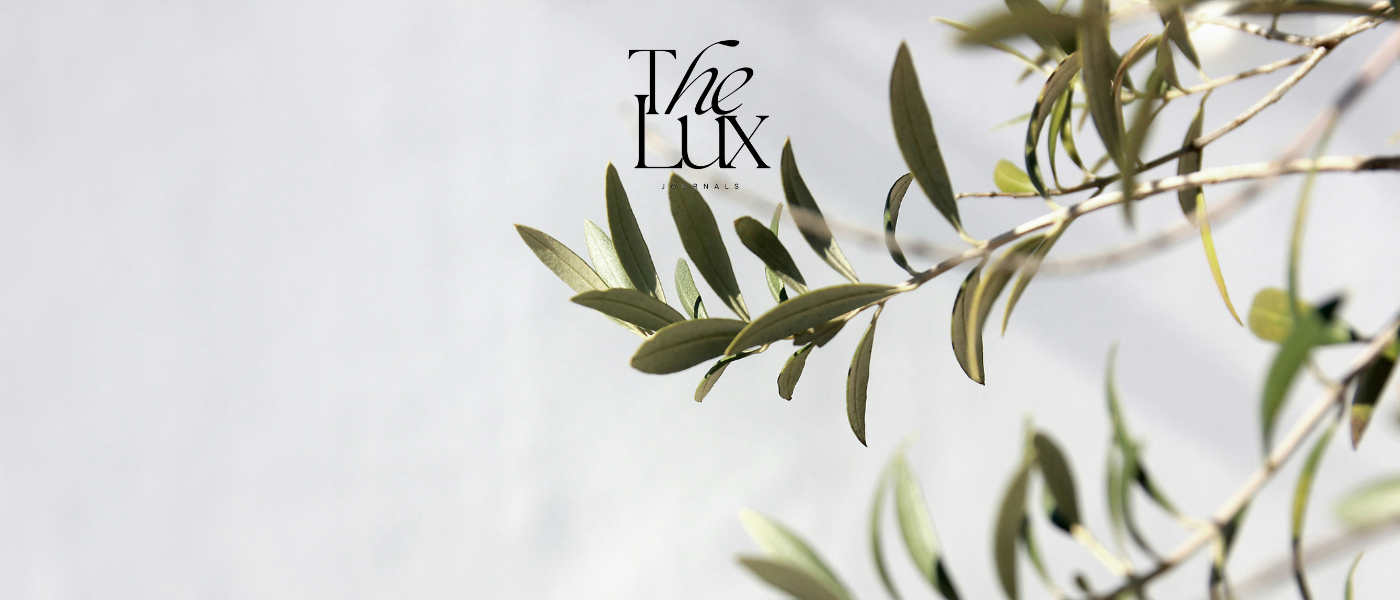 how to style olive branches