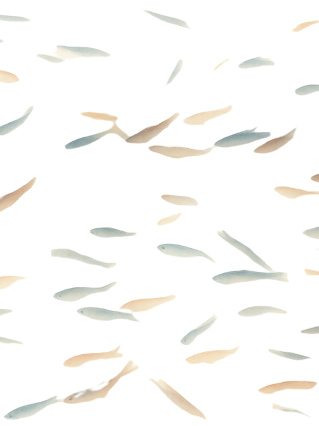 salmon PDRN
