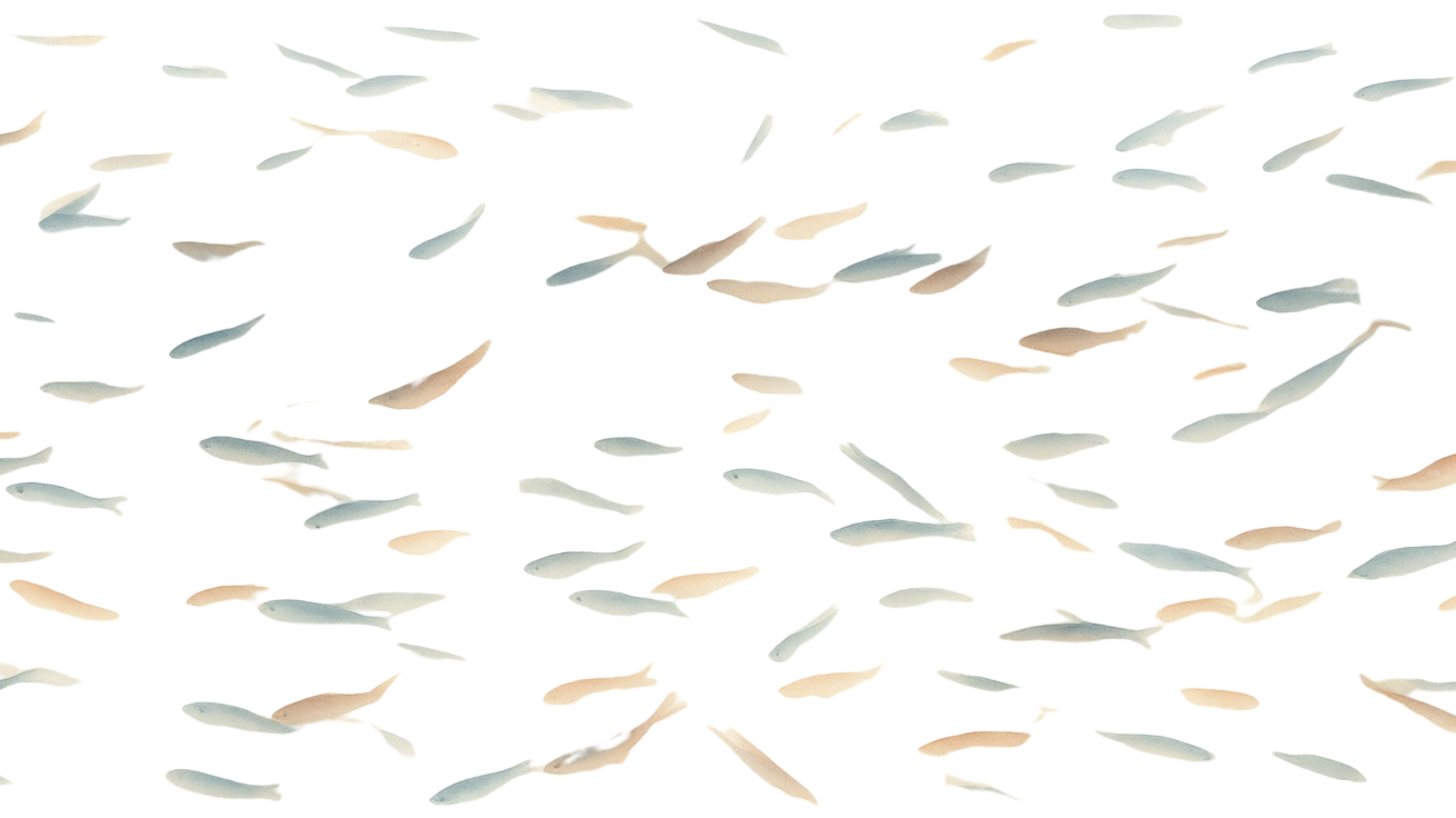 salmon PDRN